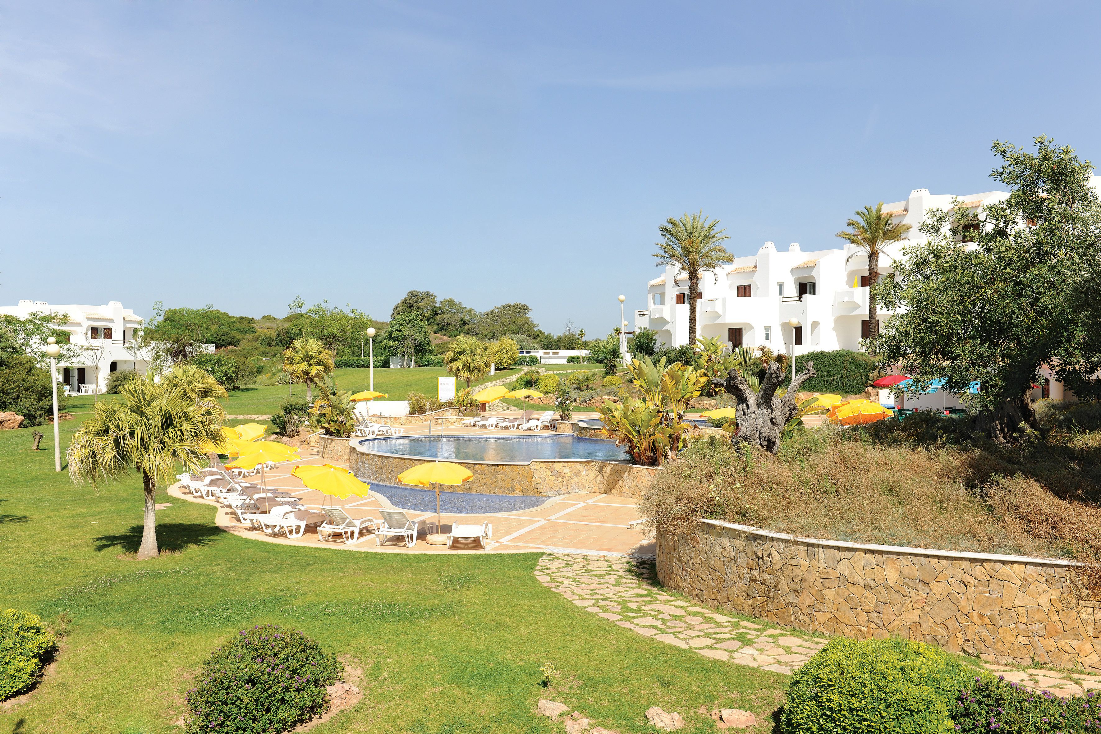 Un resort con piscina, sillas de descanso y palmeras.