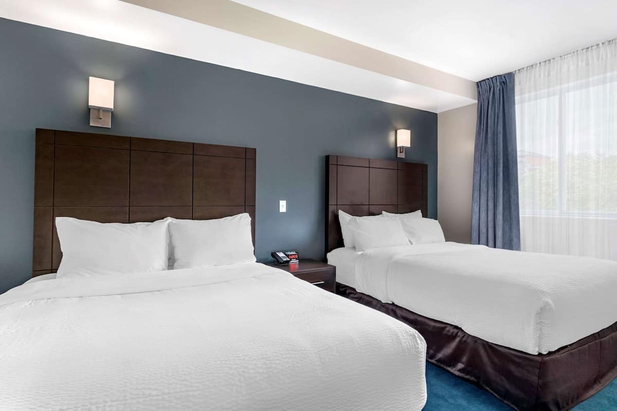 Literie de qualité supérieure, couette en duvet d'oie