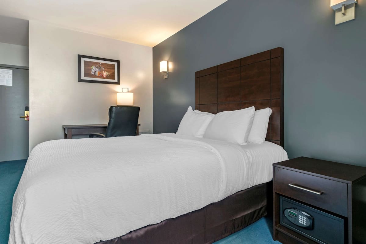 Standaard kamer, 1 queensize bed, niet-roken | Luxe beddengoed, donzen dekbedden, Select Comfort-bedden, een bureau