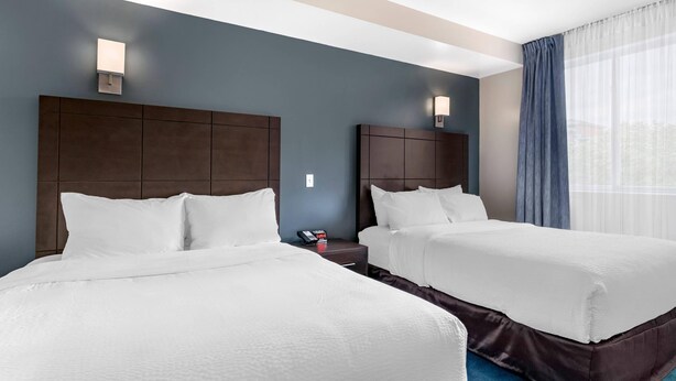 A hotel room with two beds, dark headboards, white bedding, bedside lamps, a phone, and a window with curtains. - Econo Lodge (Montreal)