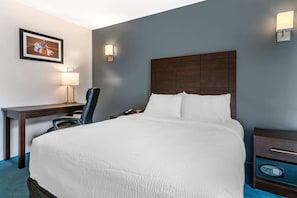 Standard Room, 1 Queen Bed, Non Smoking | Premium bedding, down comforters, Select Comfort beds, desk