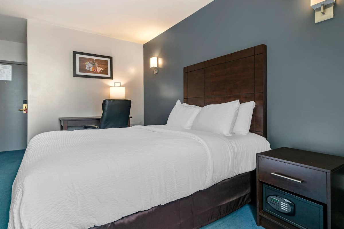 Ropa de cama de alta calidad, cubrecamas y colchones Select Comfort 