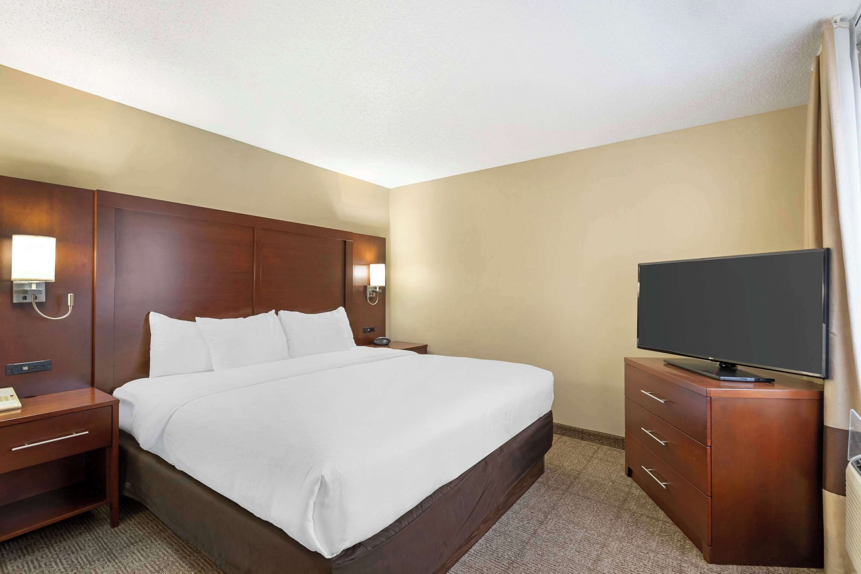 Une chambre d’hôtel avec un grand lit, un téléviseur posé sur une commode en bois et une table de chevet avec une lampe.