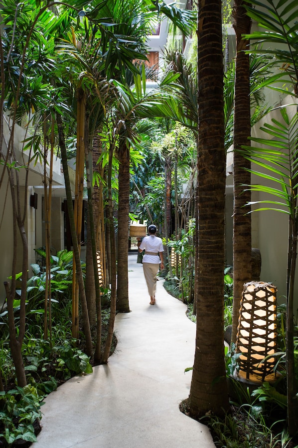A pathway lined with tall palm trees and lush greenery, leading to a building.