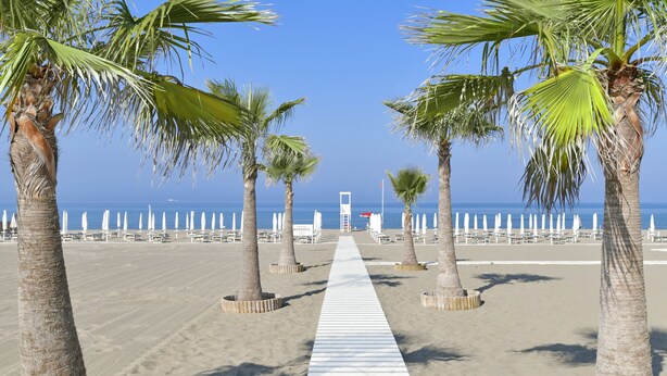 Ein Strand mit einem weißen Weg, der zum Meer führt, umgeben von Palmen und Liegestühlen.