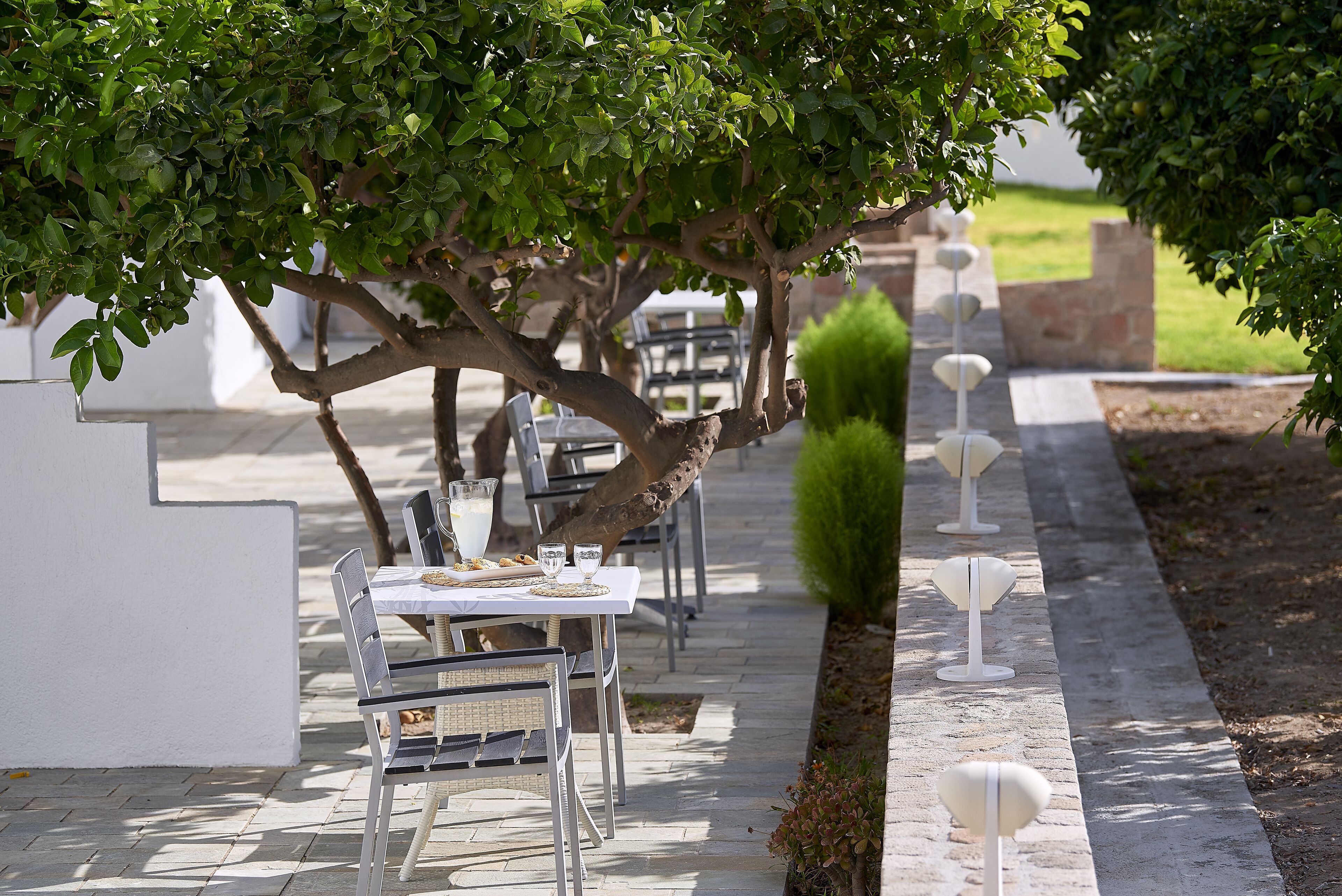 Un área de comedor al aire libre con mesas y sillas, rodeada de árboles y un sendero.
