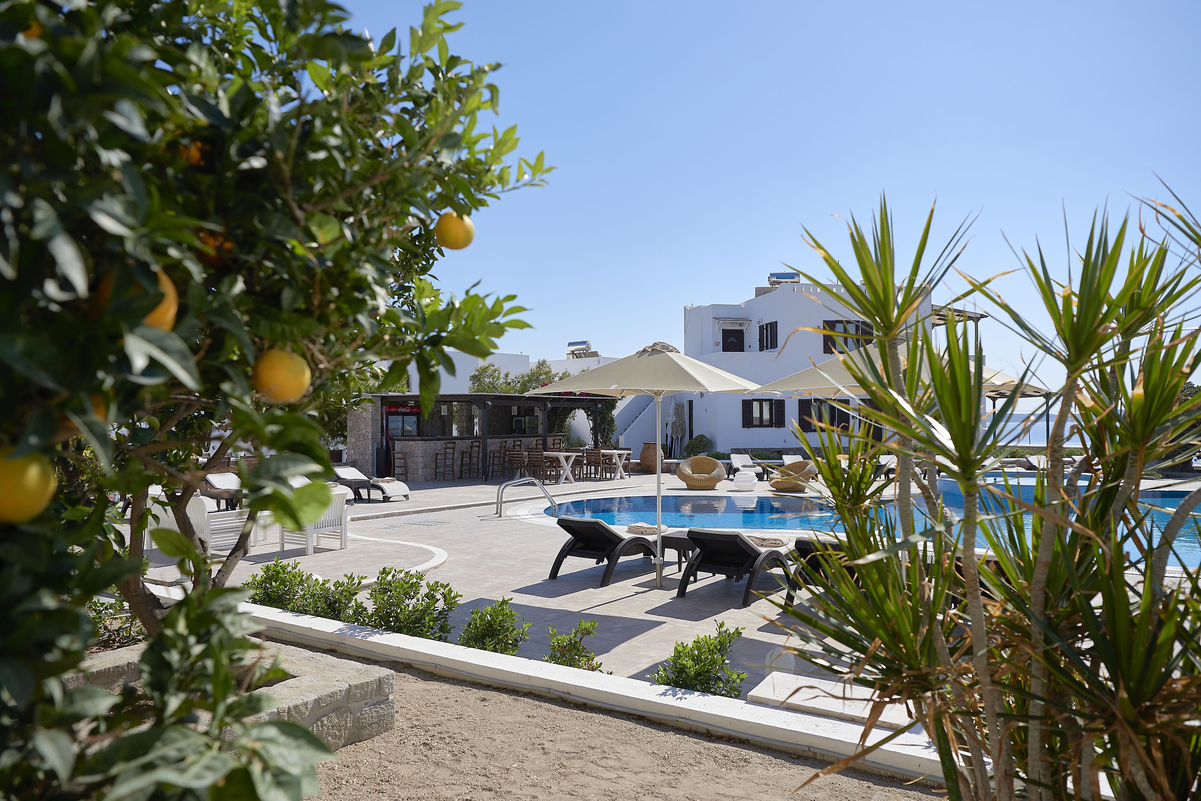 A pool area with lounge chairs and a bar, surrounded by greenery and a building in the background.