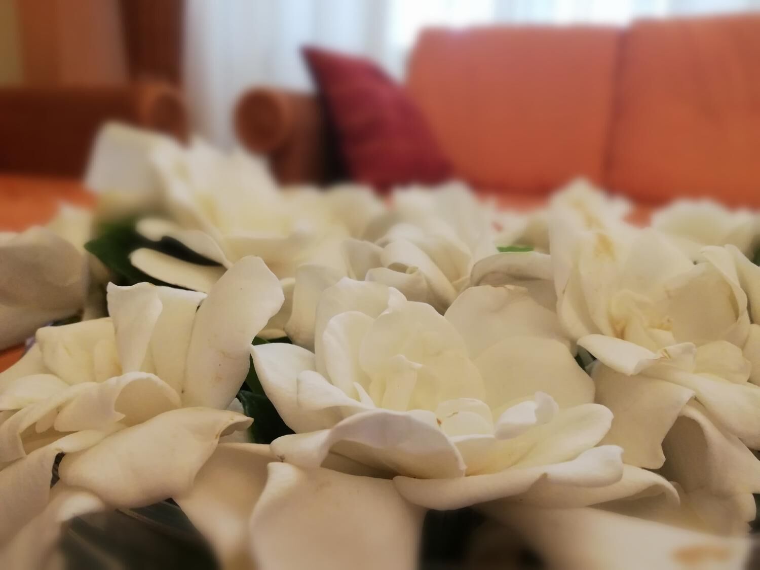 breakfast, lunch and dinner served