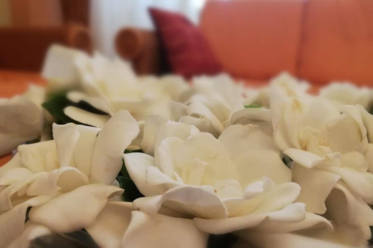 breakfast, lunch and dinner served