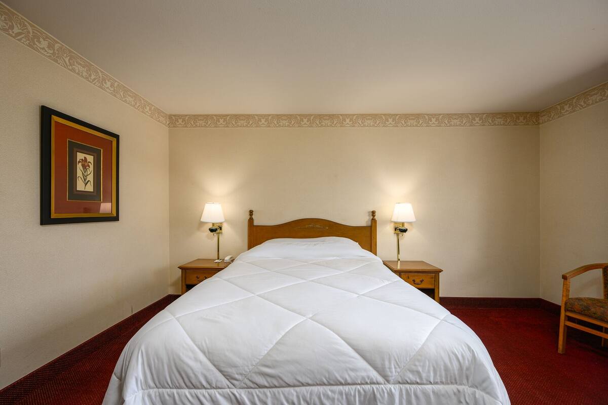 Habitación de hotel con una cama grande, dos mesitas de noche con lámparas, una silla y un cuadro en la pared.