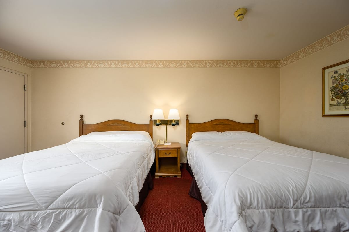 Habitación de hotel con dos camas individuales, una mesita de noche con lámparas, una obra de arte floral enmarcada en la pared y una alfombra roja.