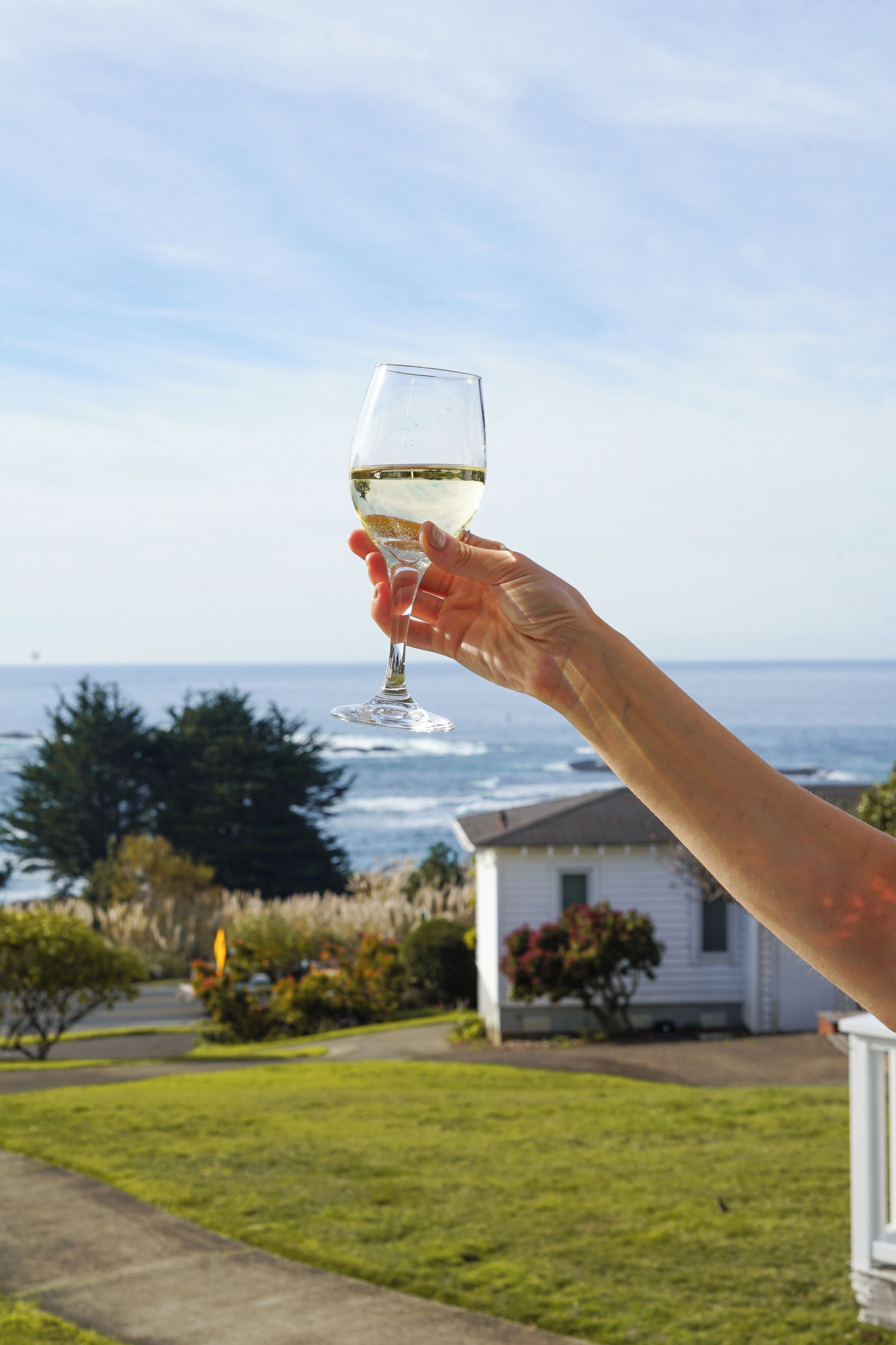 A hand holding a wine glass with a view of the ocean and a house in the background.