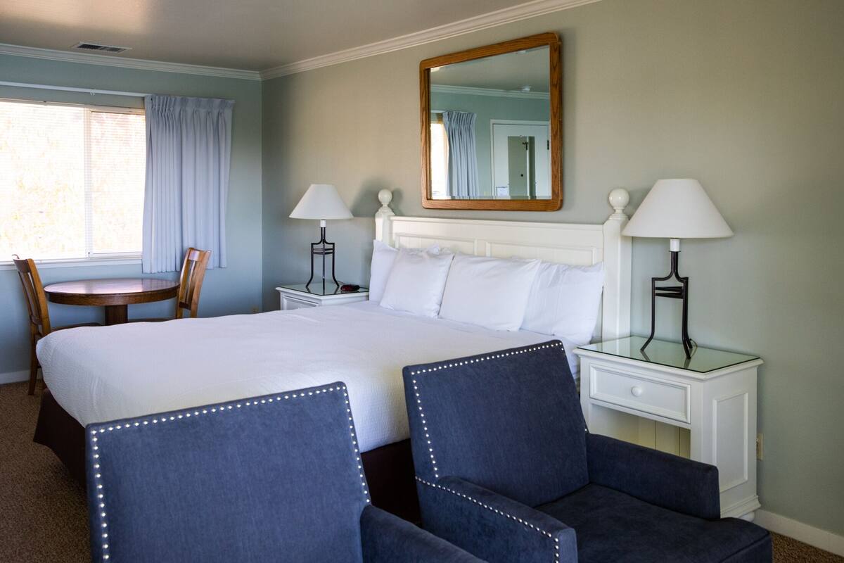 traditional room, 1 king bed, ocean view (non-pet friendly) | iron/ironing board, cots/infant beds, free wifi, bed sheets