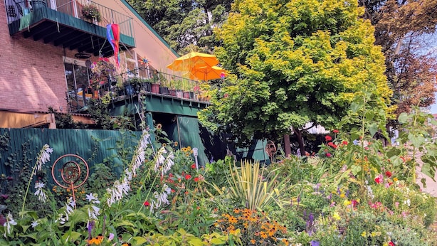 A garden with a variety of flowers and plants, a balcony with potted plants, and a green fence. - Ann Arbor B&B Inn (Ann Arbor)
