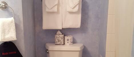 A bathroom with a toilet, a towel rack with two towels, a hair dryer, and a picture frame on the wall.