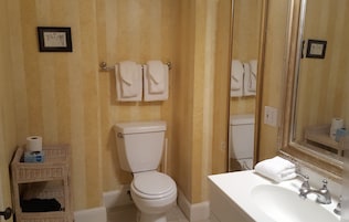 Habitación Deluxe | Baño | Artículos de higiene personal gratuitos, secador de pelo y toallas