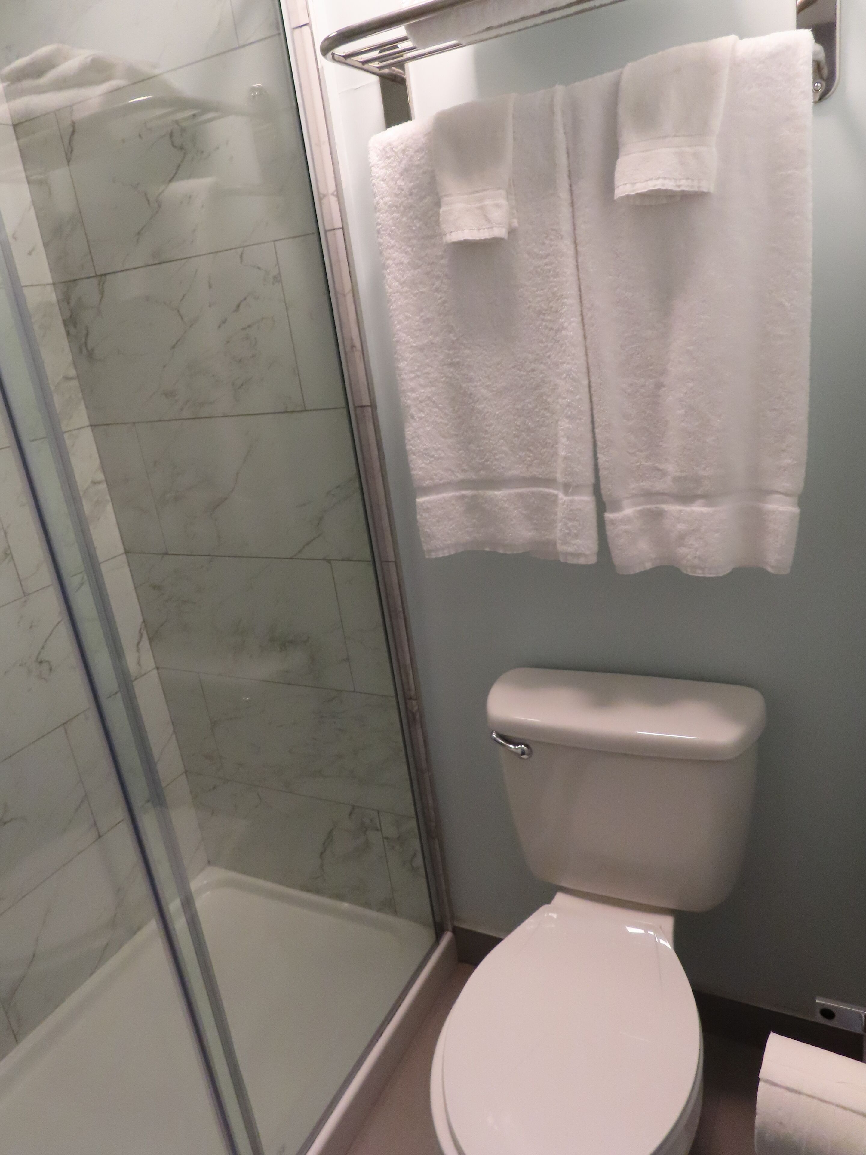 Une salle de bain avec une douche à parois de verre, des toilettes et deux serviettes blanches suspendues à un porte-serviettes.