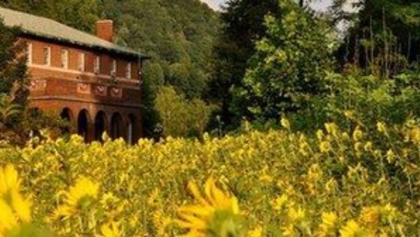 A red brick building with a green roof, surrounded by dense greenery and yellow flowers.