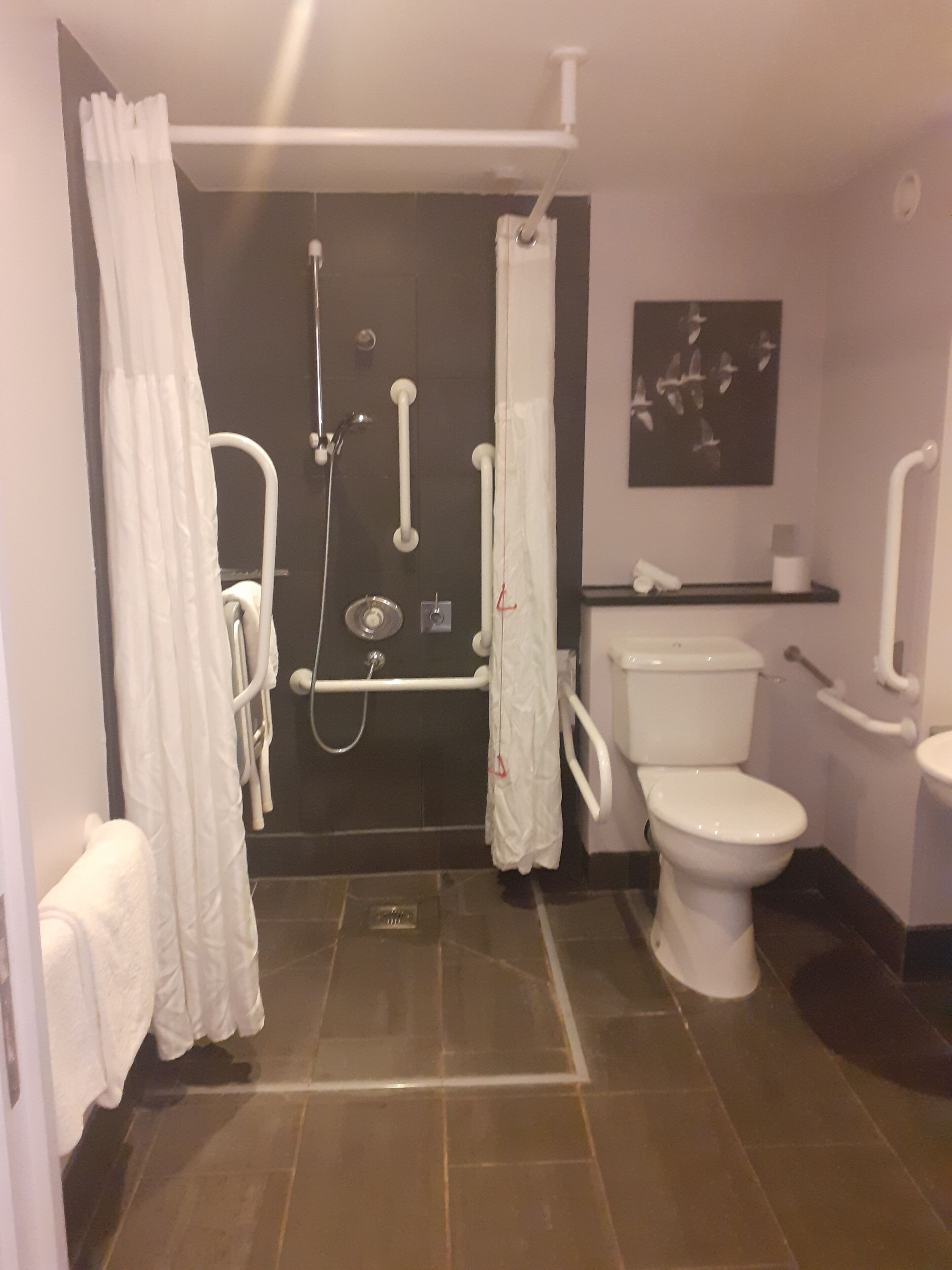 A bathroom with a shower, toilet, and sink.