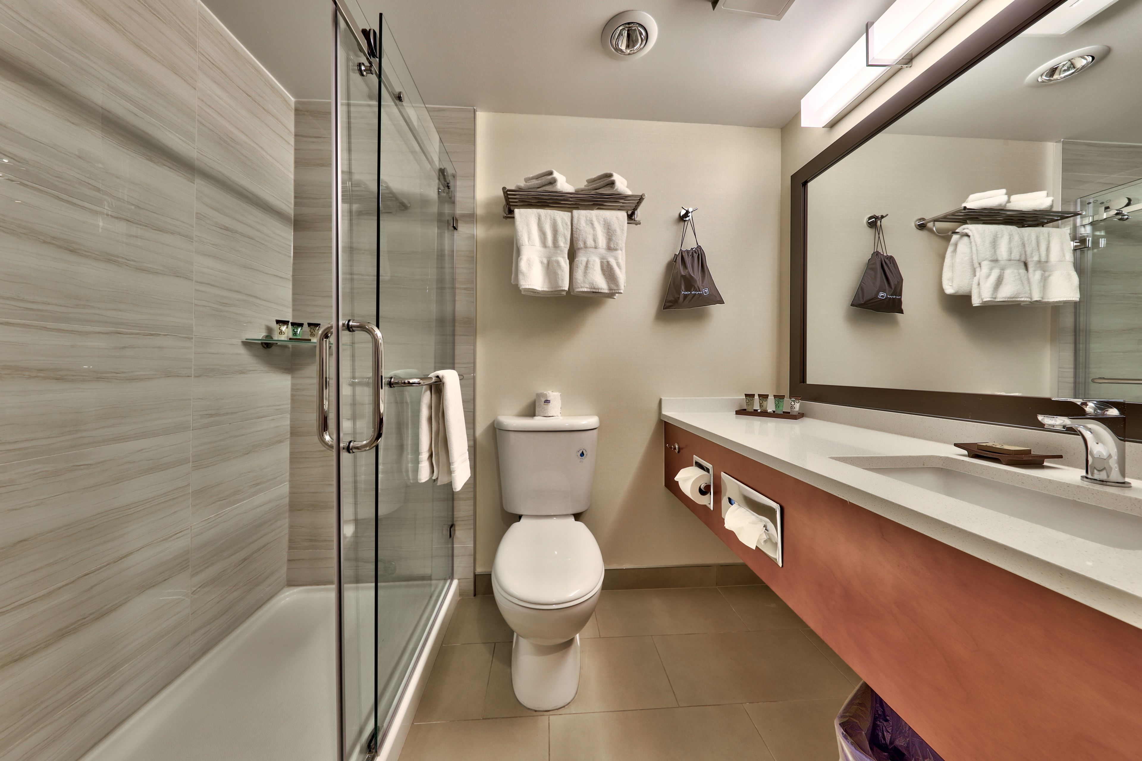 shower, rainfall showerhead, free toiletries, hair dryer