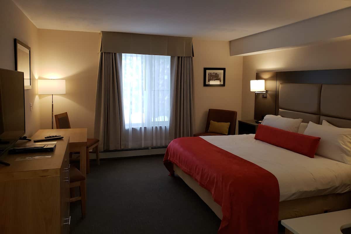 Comfort Studio, 1 King Bed