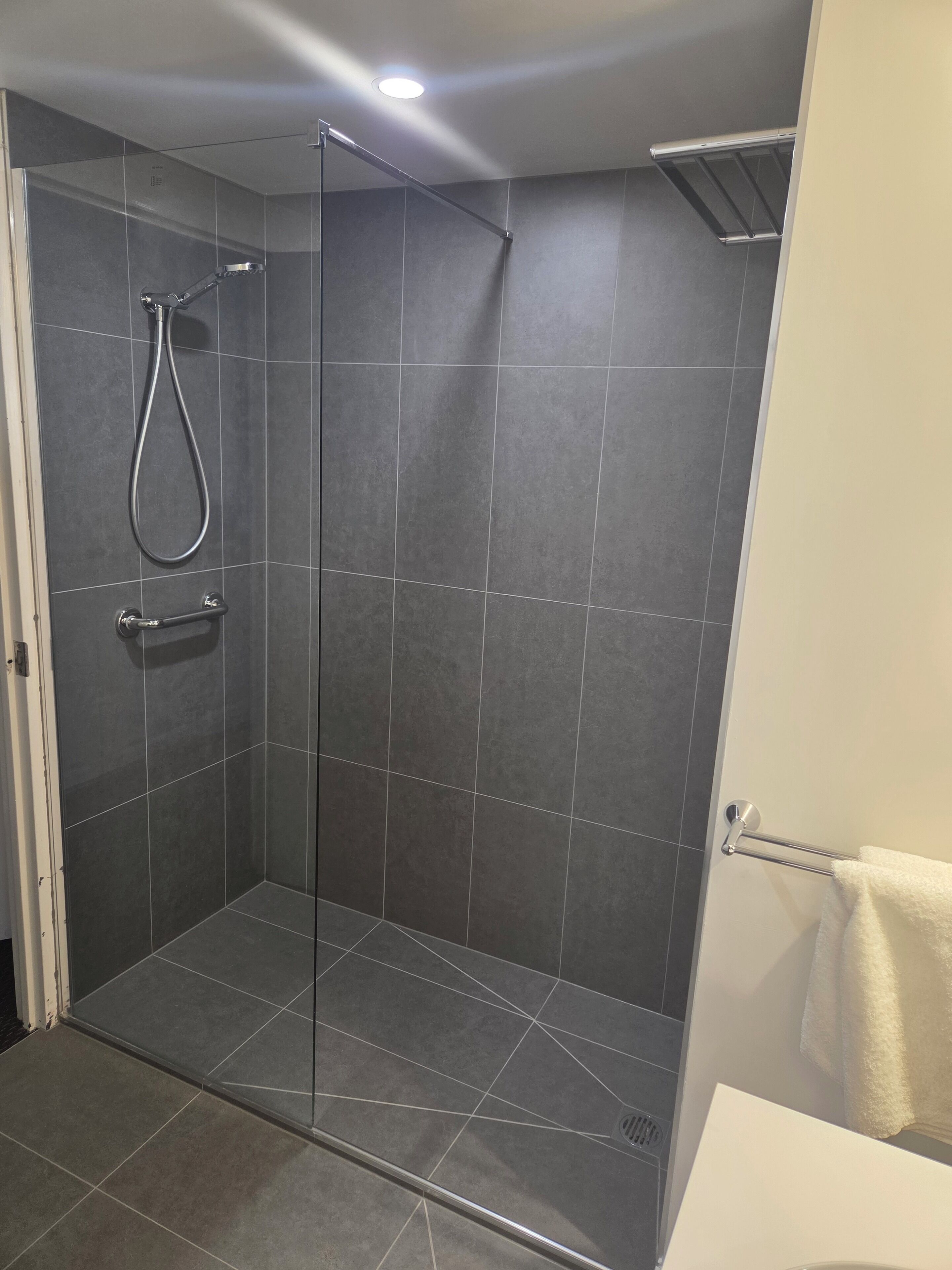 Une douche moderne dotée d’une porte en verre, d’un pommeau de douche à main et d’un porte-serviettes.