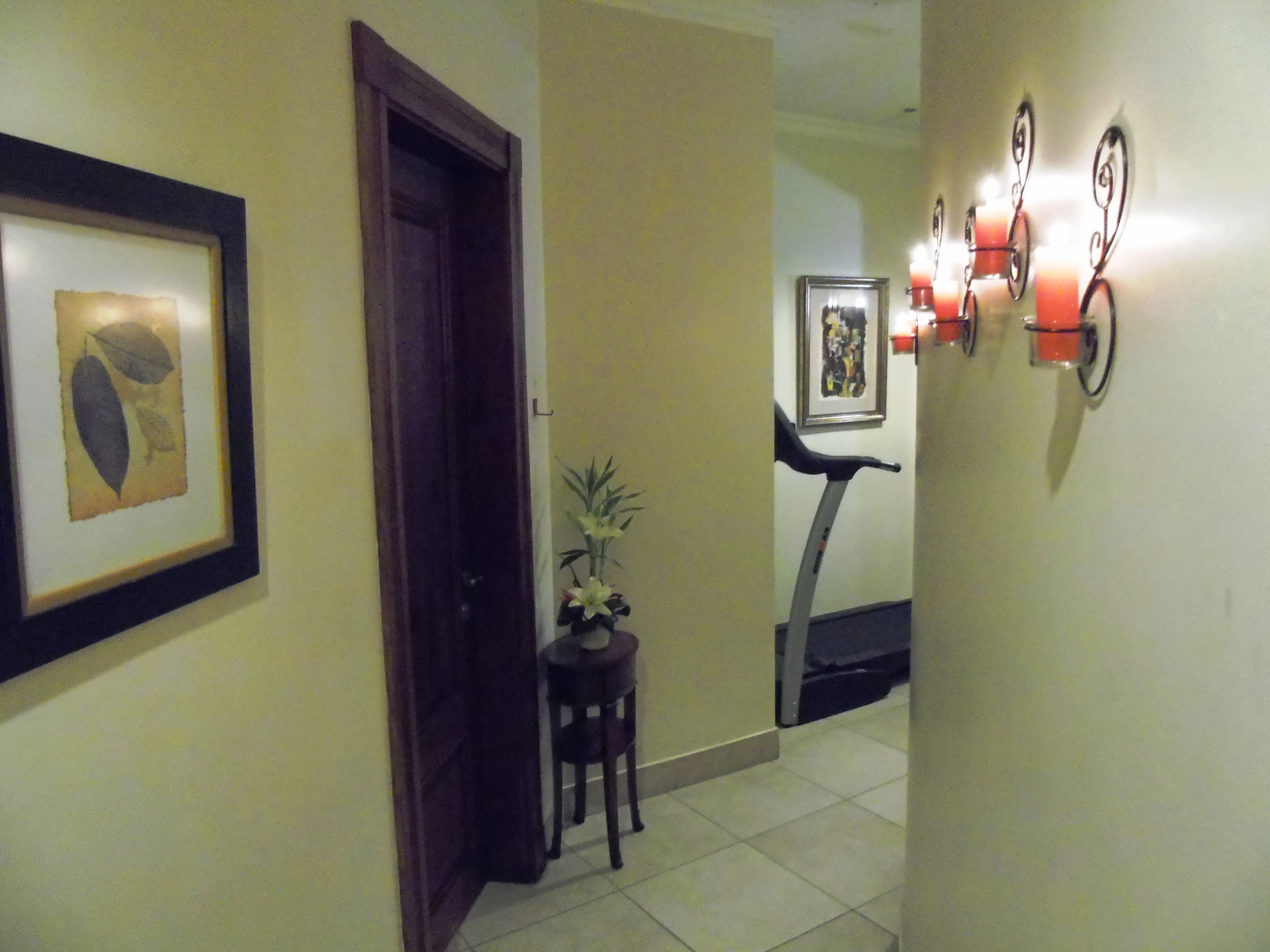 A hallway with a framed botanical print, a door, a small table with a plant, and a treadmill.