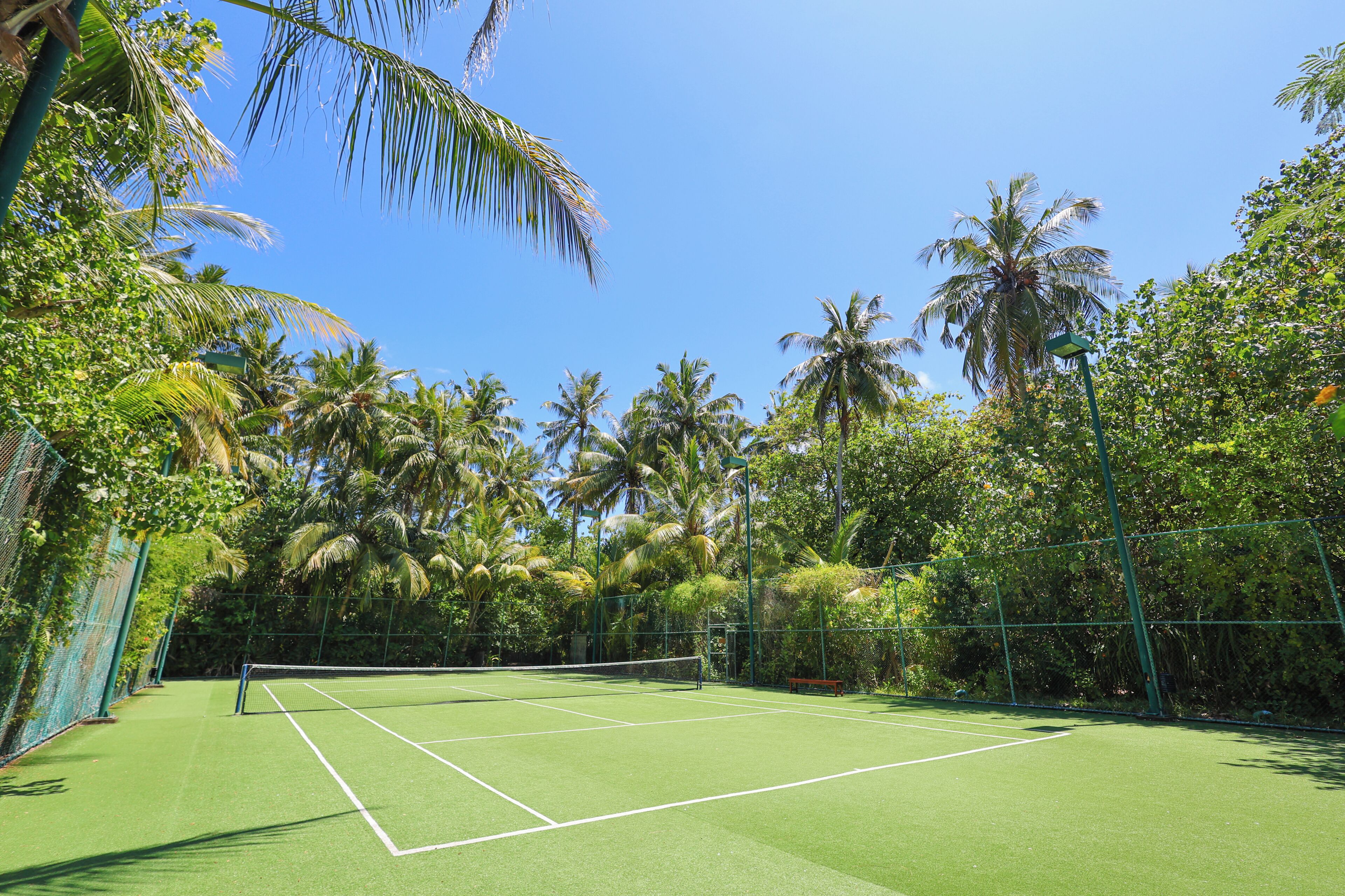 Una cancha de tenis rodeada de exuberante vegetación y palmeras.