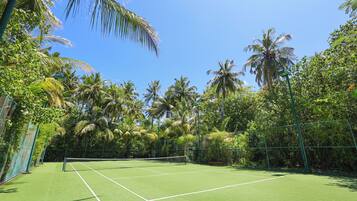 Una cancha de tenis rodeada de exuberante vegetación y palmeras.