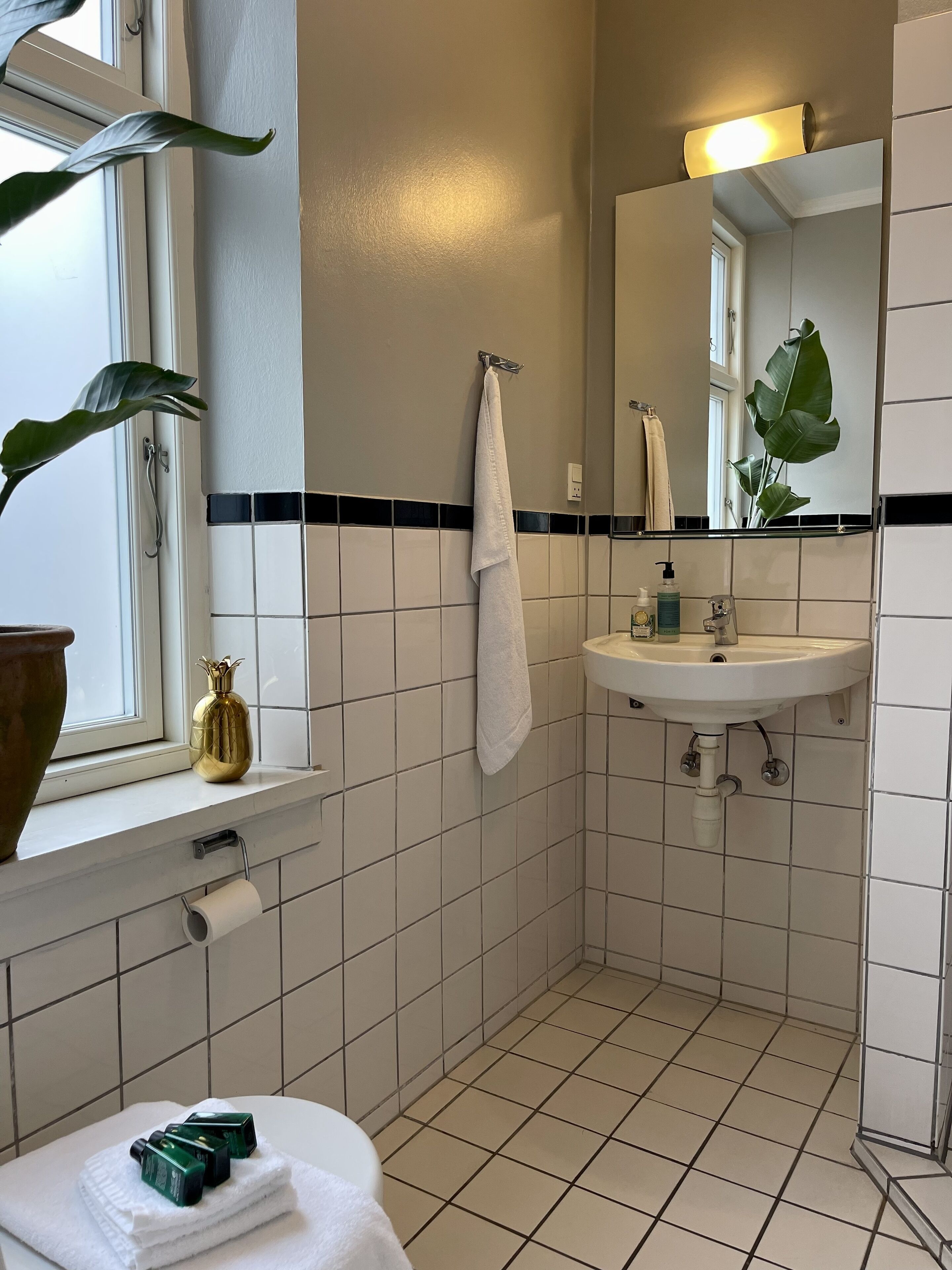 eco-friendly toiletries, hair dryer, towels, soap