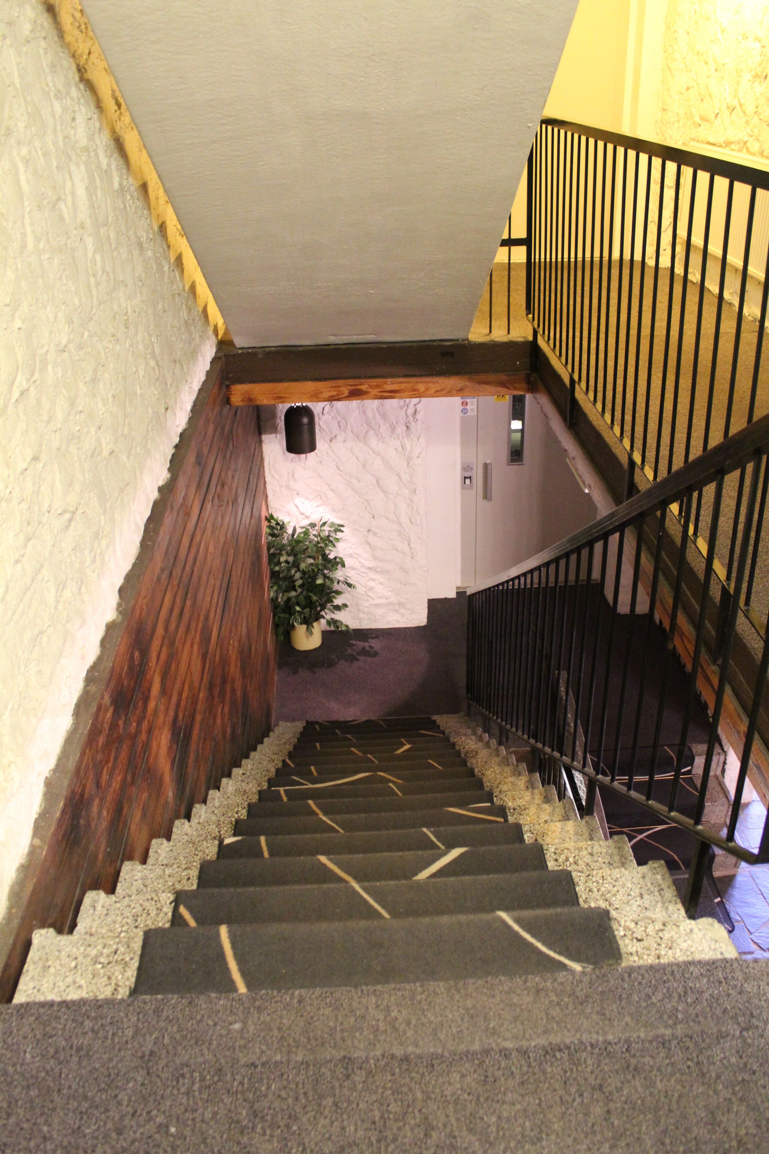 A staircase with a wooden handrail and a black metal railing, leading to a landing with a potted plant.