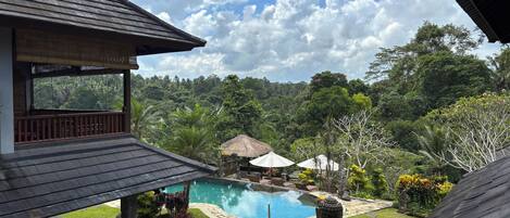 Outdoor pool, pool umbrellas, sun loungers