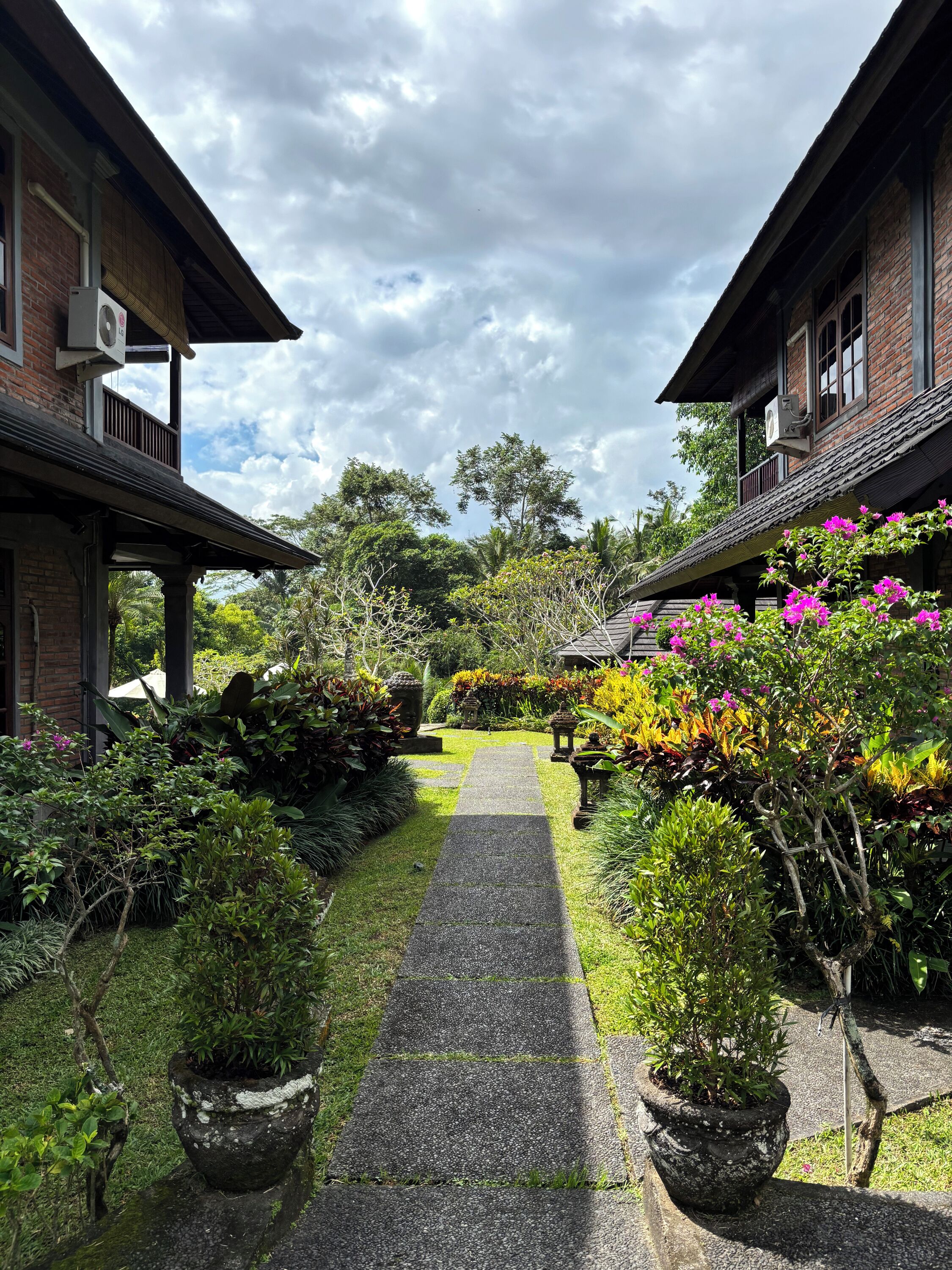 Garden view