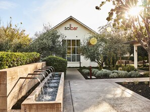 Frokost og lunsj serveres, kaliforniske retter, utsikt mot bassenget 