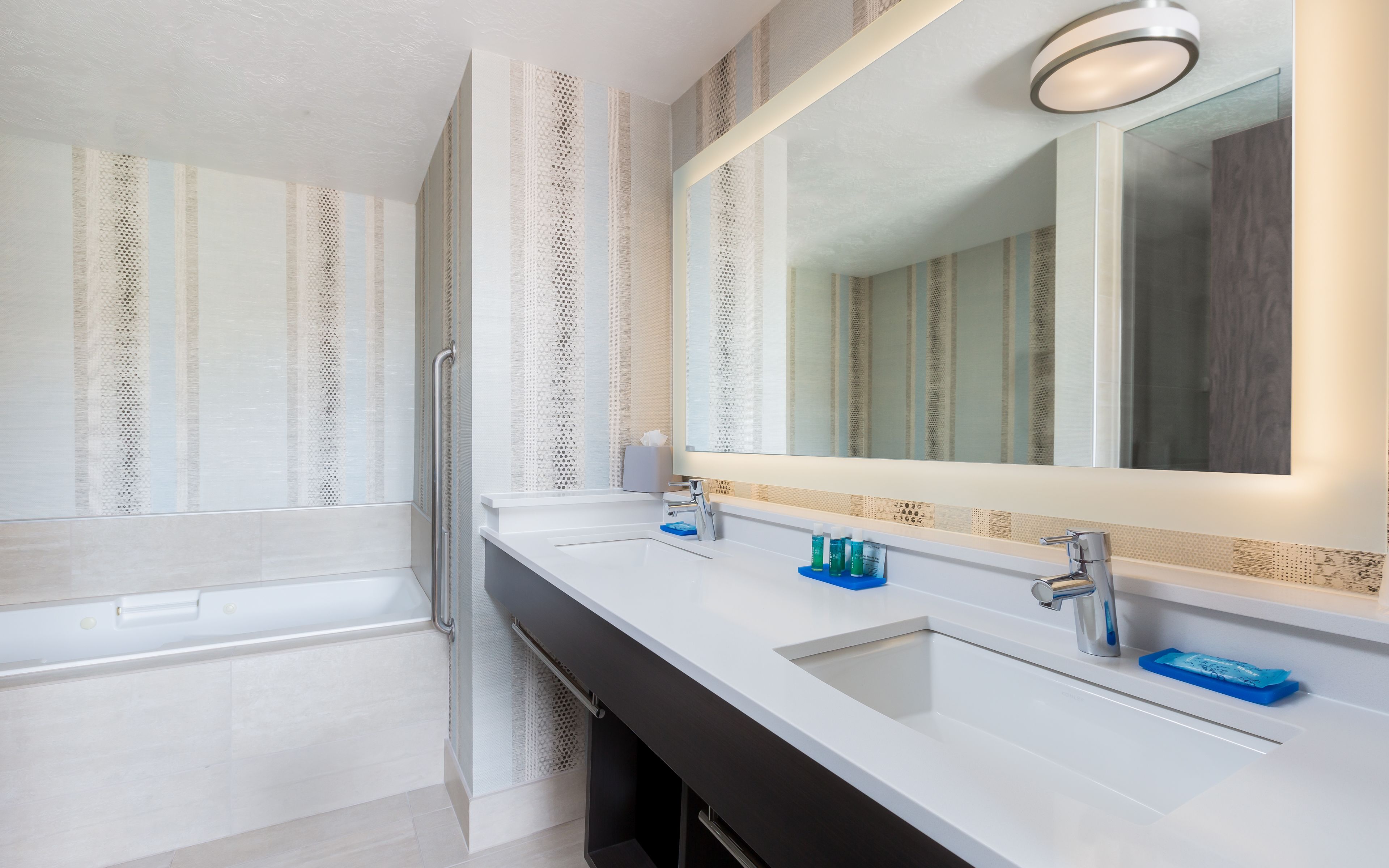 suite, 1 king bed with sofa bed, non smoking (spa) | bathroom | eco-friendly toiletries, hair dryer, towels