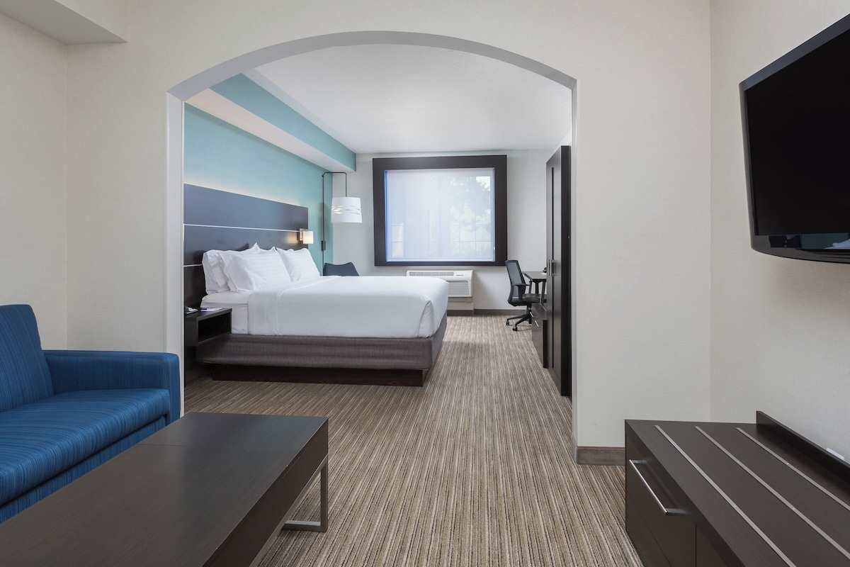 Una habitación de hotel con una cama, un escritorio, una silla, un televisor y un sofá.