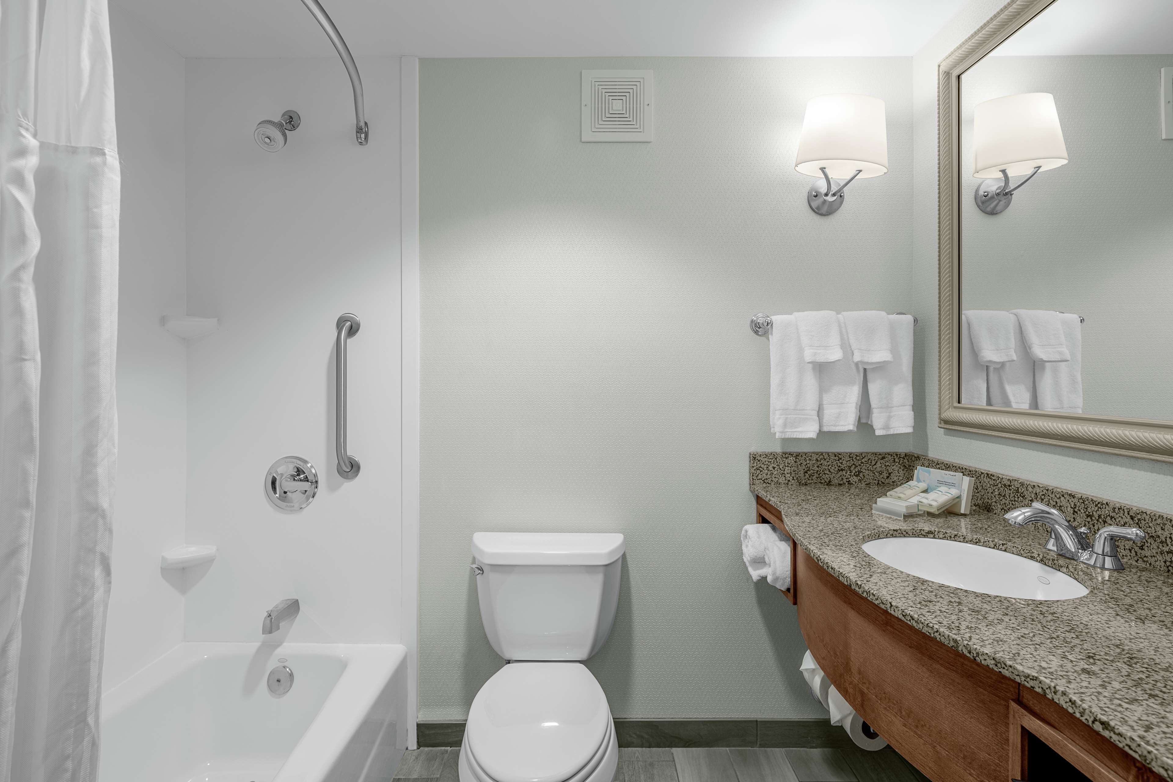 combined shower/bathtub, free toiletries, hair dryer, towels