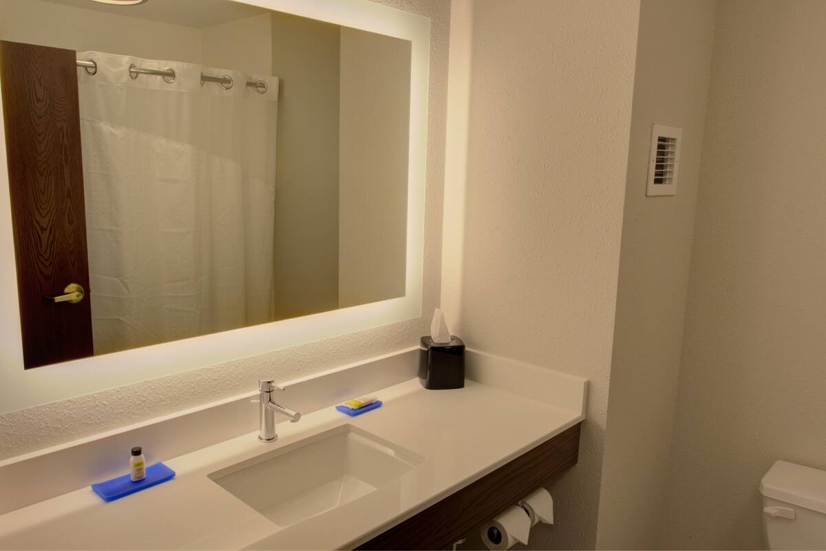 combined shower/bathtub, free toiletries, hair dryer, towels