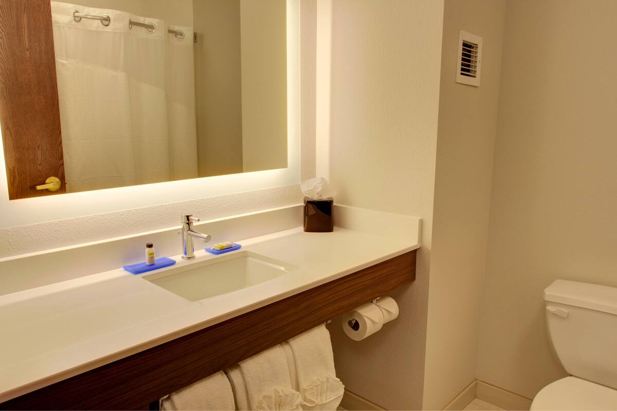 combined shower/bathtub, free toiletries, hair dryer, towels