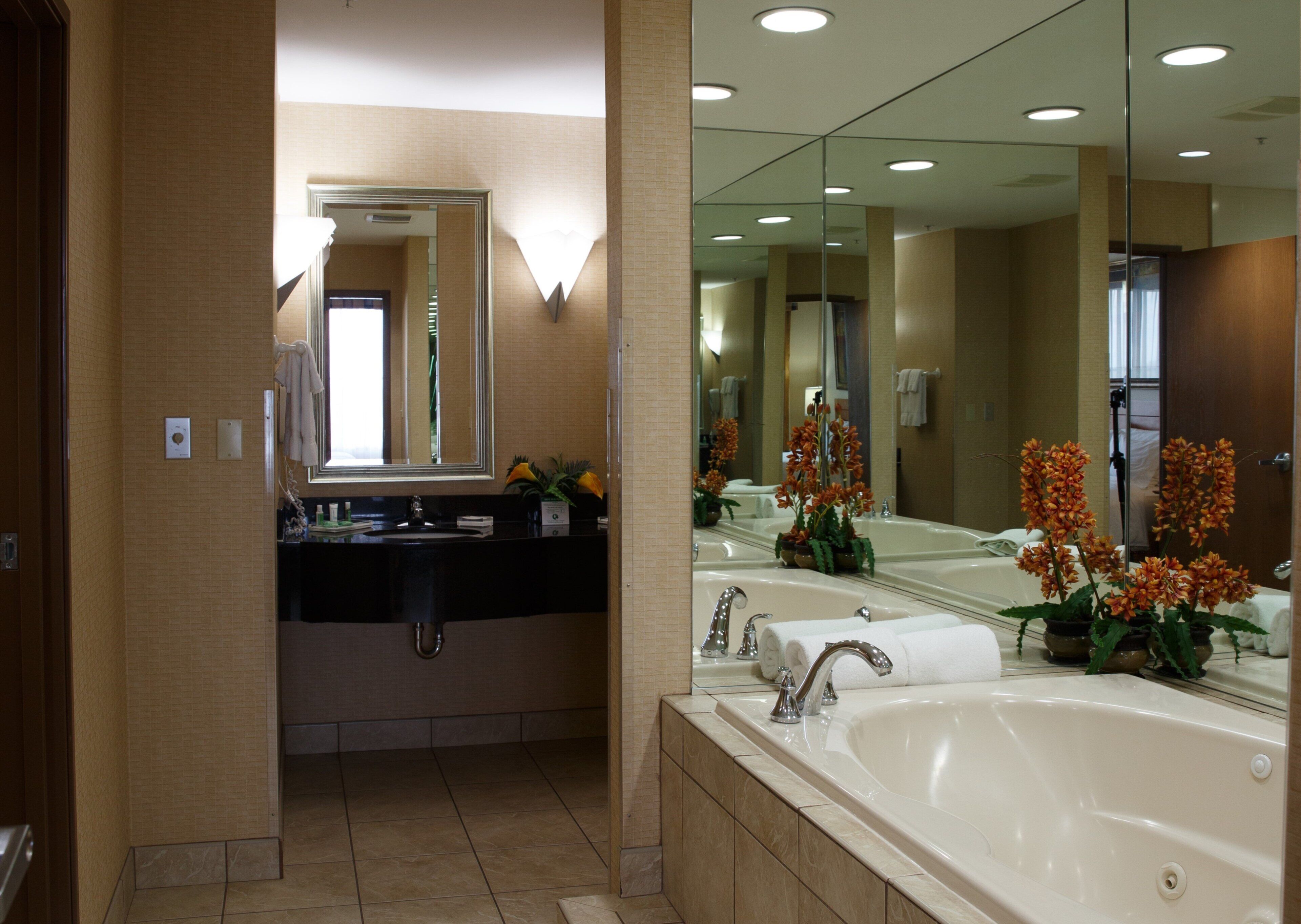 A hotel bathroom with a large mirror, a sink, a bathtub, and a potted plant.