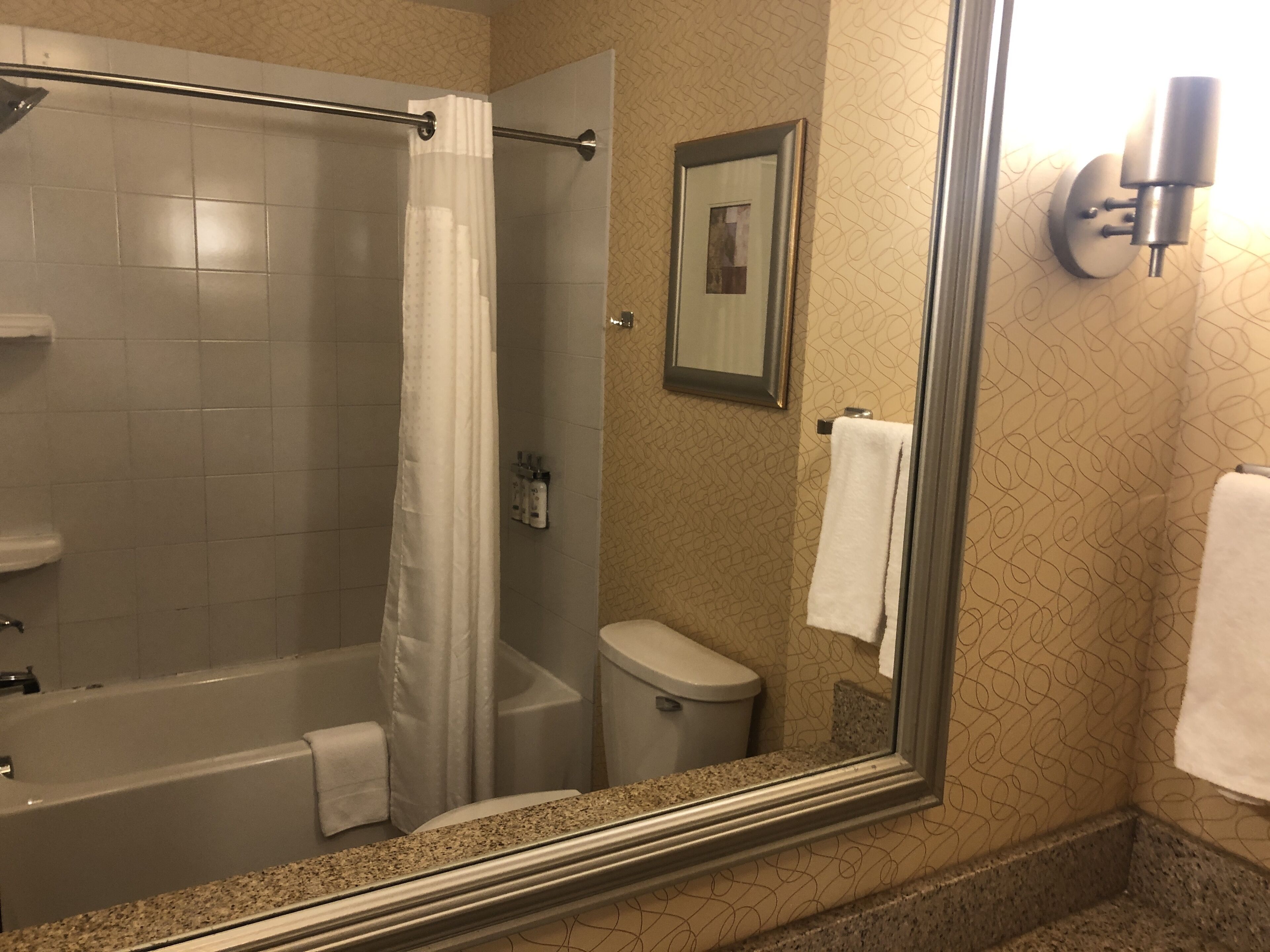 combined shower/bathtub, free toiletries, hair dryer, towels