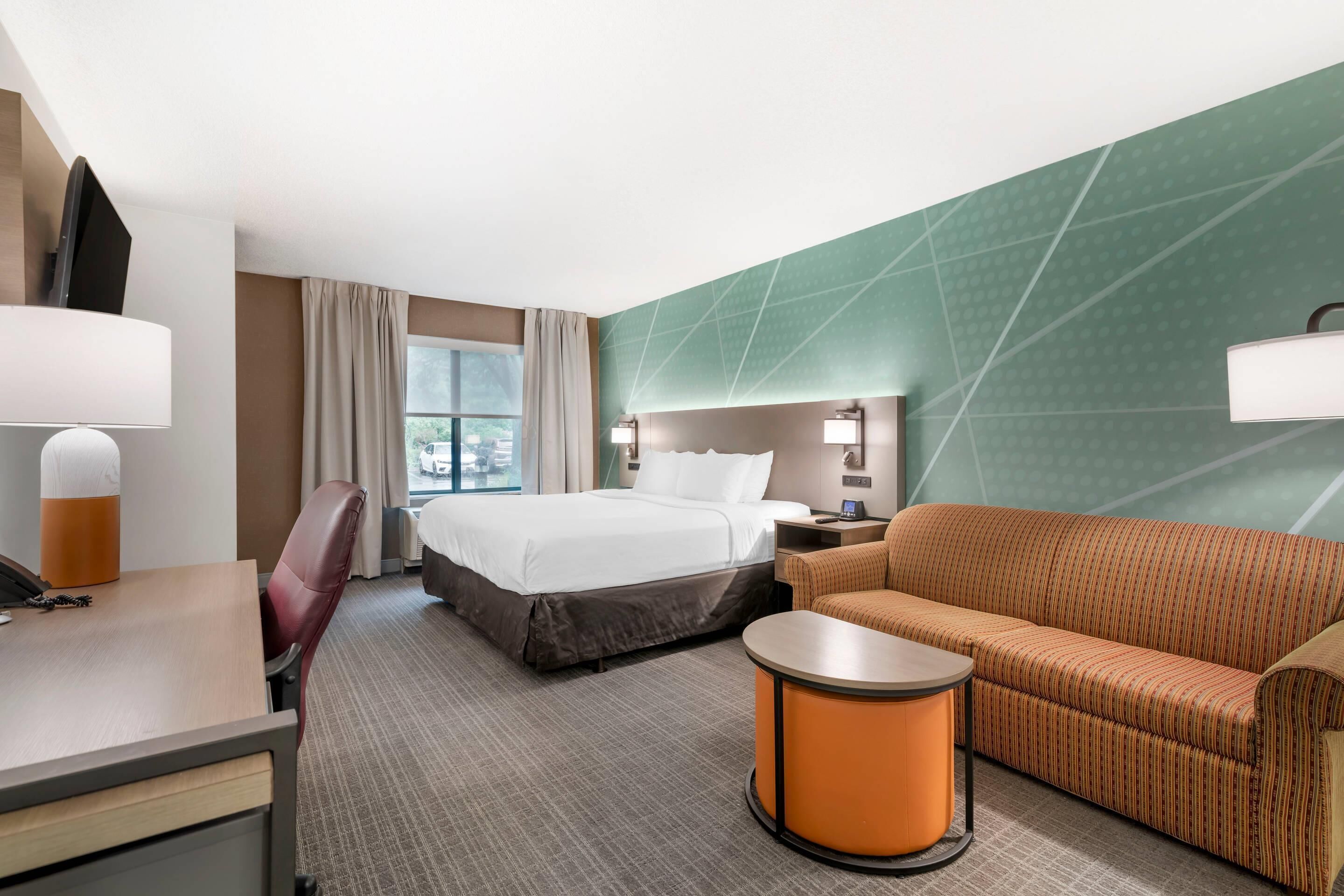 Room, 1 King Bed with Sofa bed, Accessible, Non Smoking (Roll-In Shower)