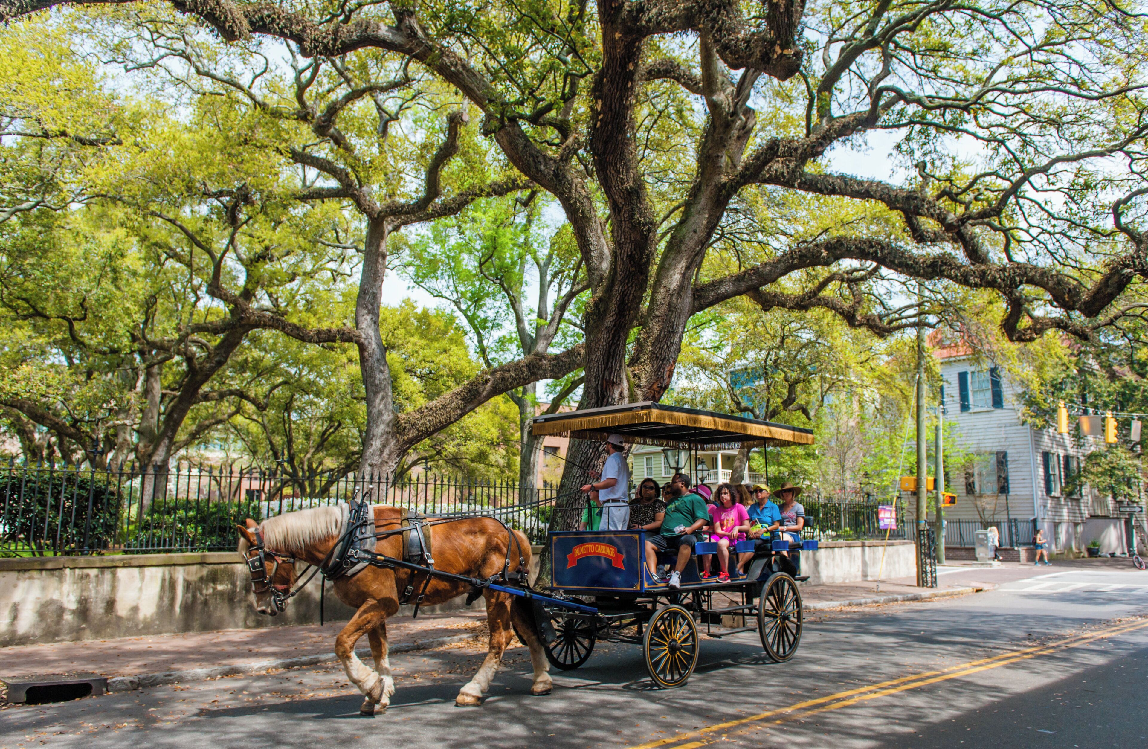 A horse-drawn carriage on a street with passengers, surrounded by trees and buildings.