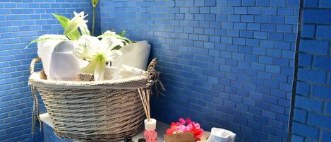 Douche, articles de toilette gratuits, sèche-cheveux, bidet