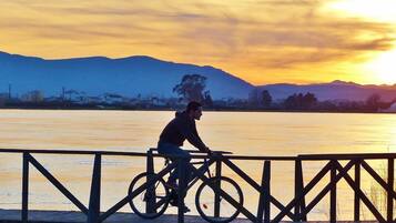 Peti besi dalam bilik, meja, katil bayi/kot (percuma)