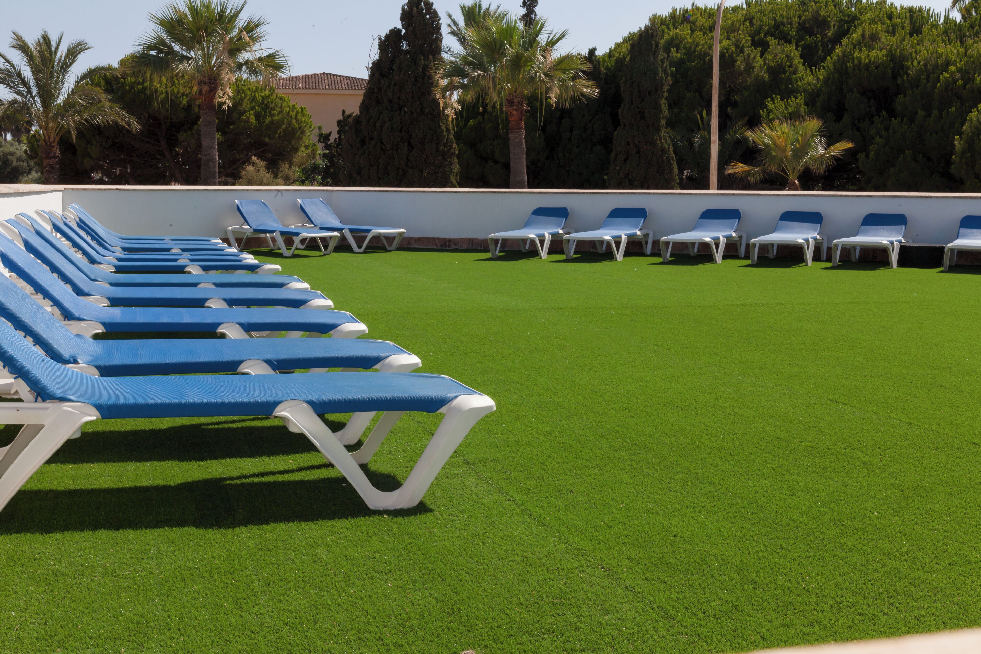 A row of blue and white sun loungers on a green lawn with a white wall and trees in the background.