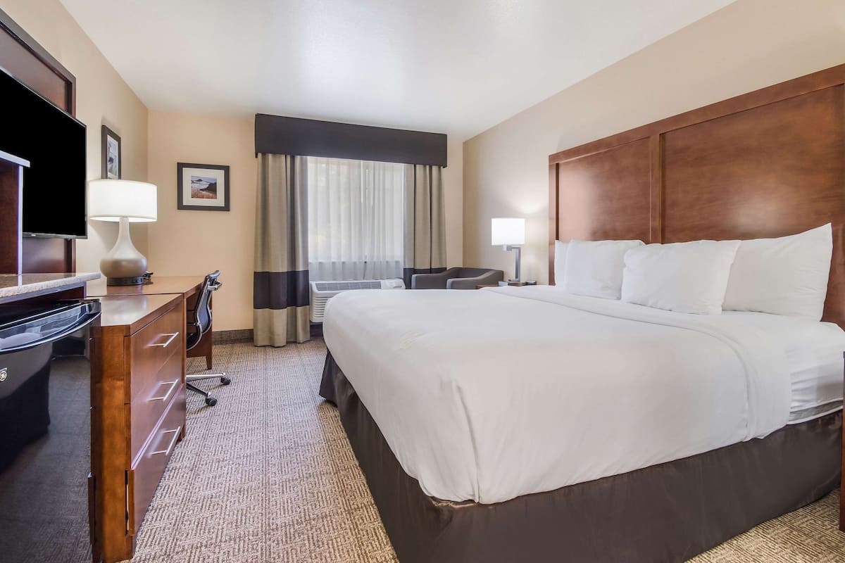 A hotel room with a large bed, a desk with a lamp, a television, and a window with curtains.
