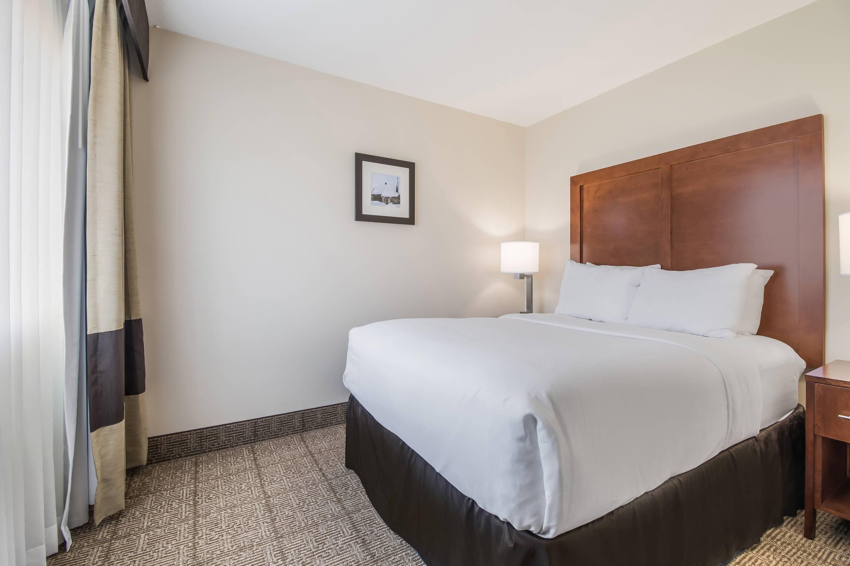 A hotel room with a bed, a nightstand, a lamp, a framed picture on the wall, and a patterned carpet.