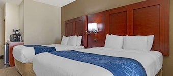 Comfort Suites Gainesville