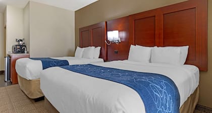 Comfort Suites Gainesville